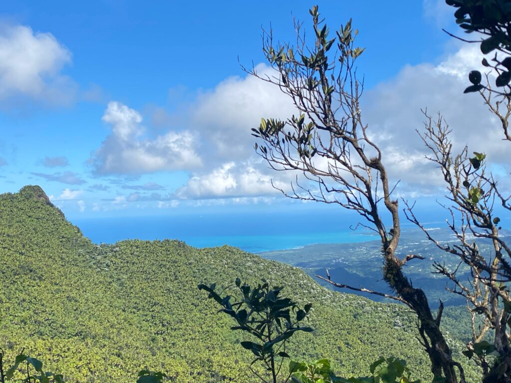 Lookout from Mount Britton in El Yunque National Park, PR