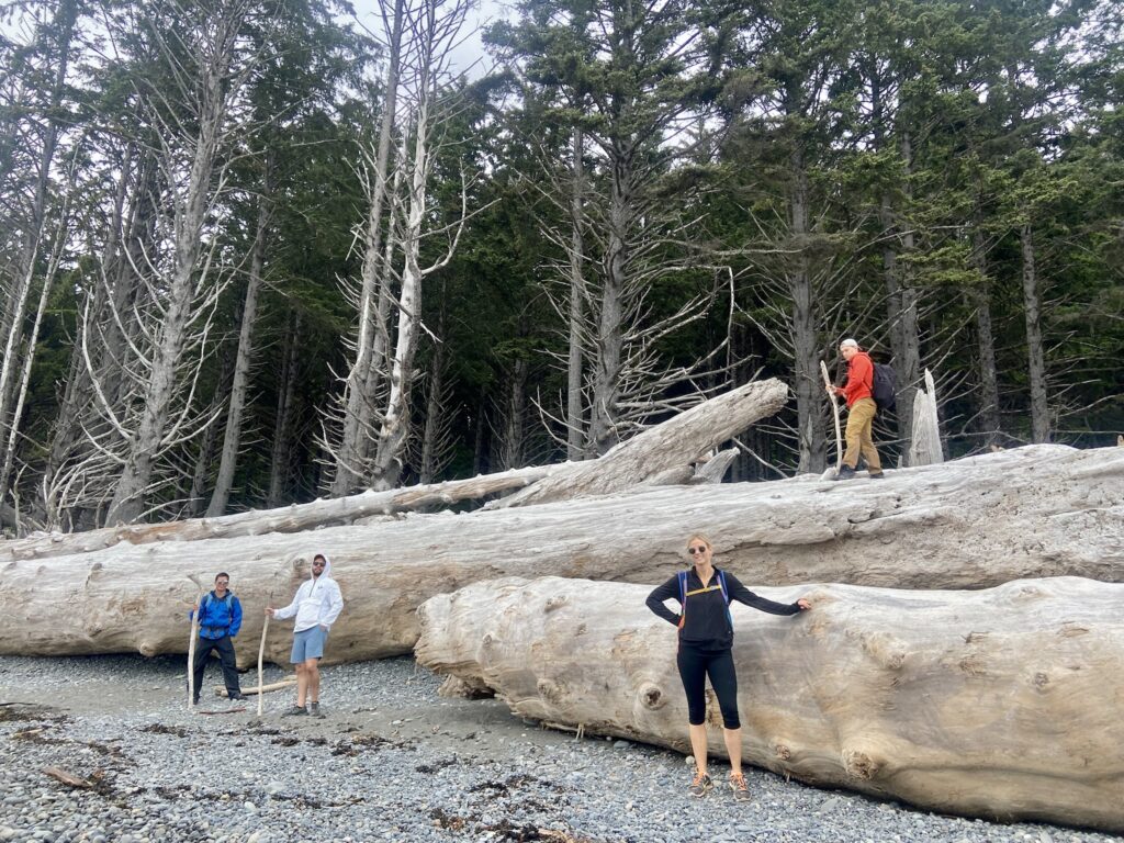 Giant driftwood logs on Rialto Beach