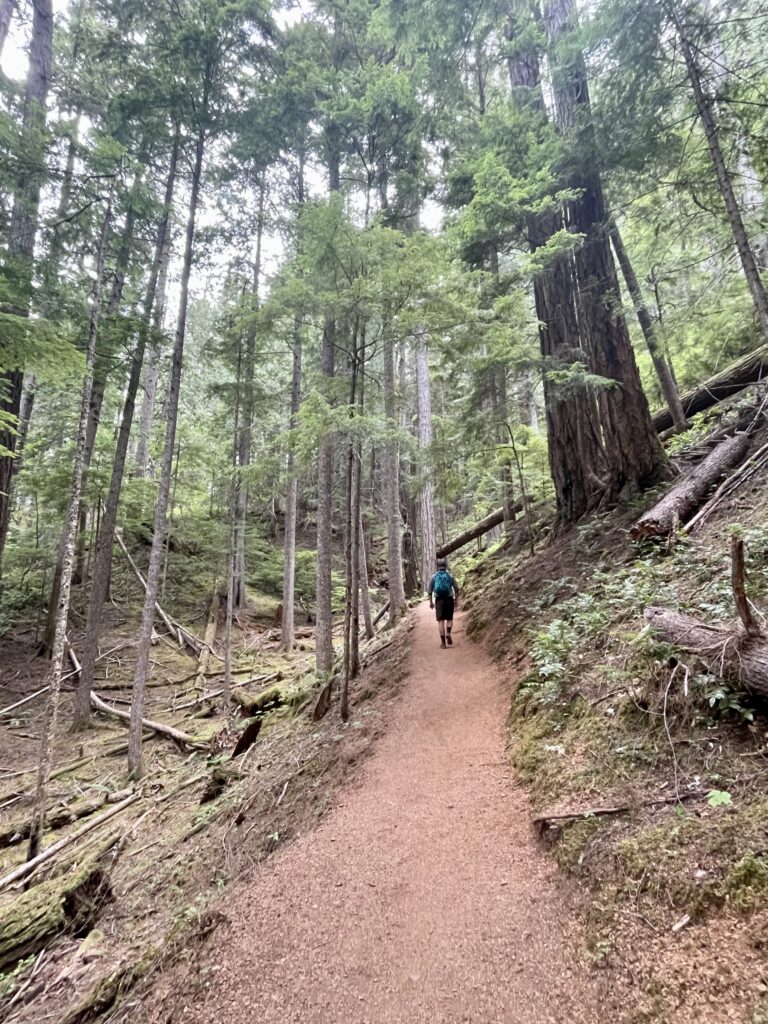 Hiking up Mount Storm King