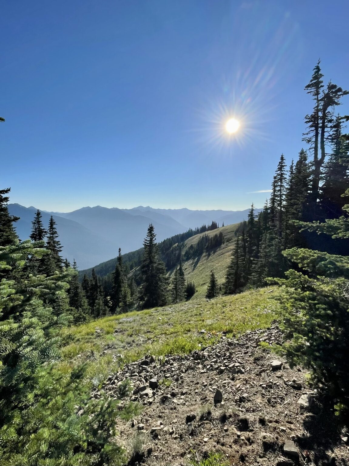 Top 5 Must Do Attractions in Olympic National Park