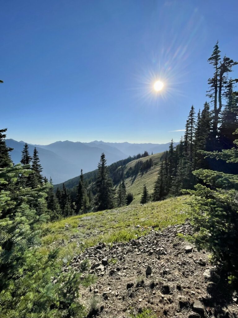 View walking up to Hurricane Hill