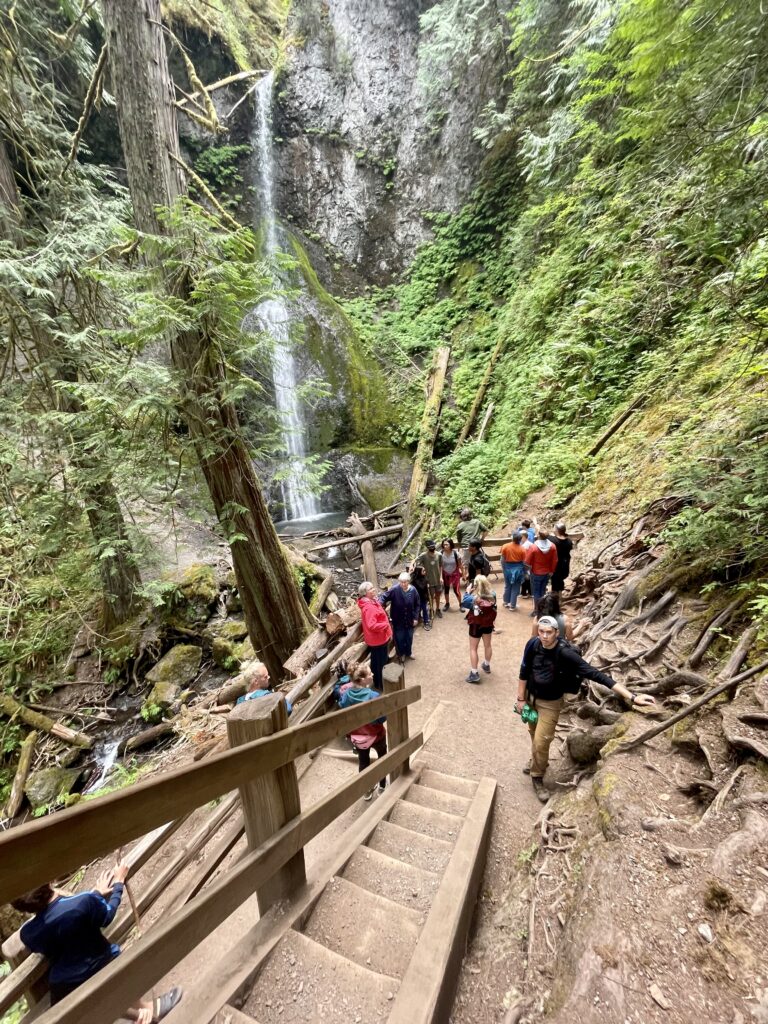 Viewing platform at Marymere Falls in Olympic NP