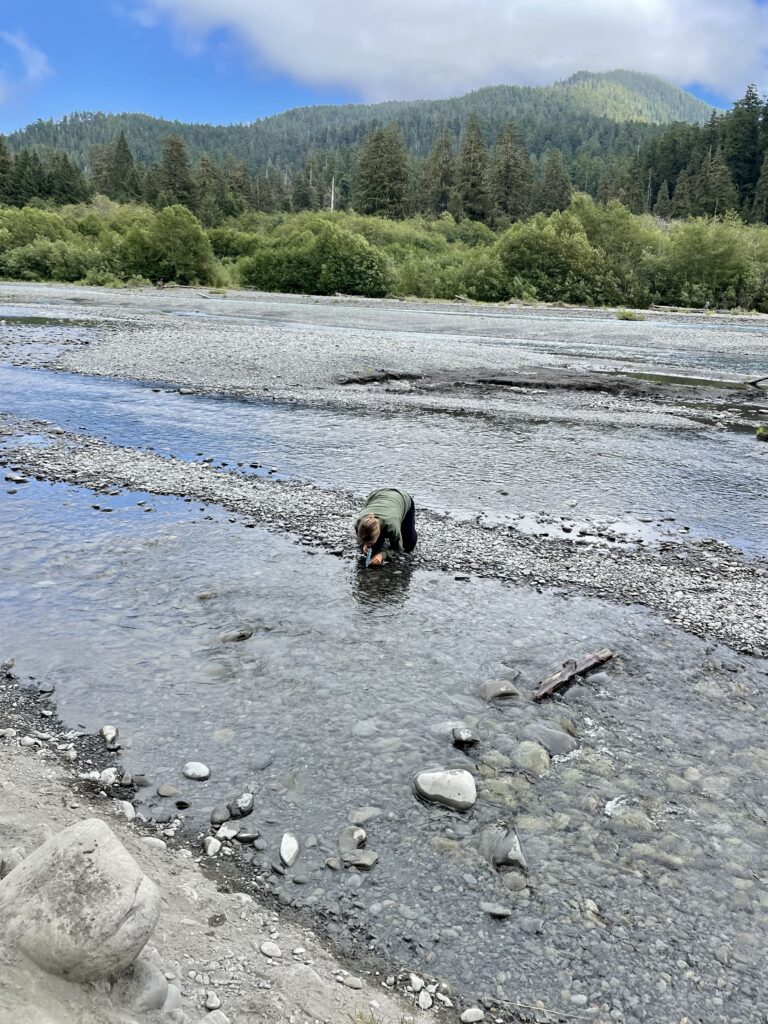 Our crazy friend drinking from the Hoh River with a Lifestraw mid hike