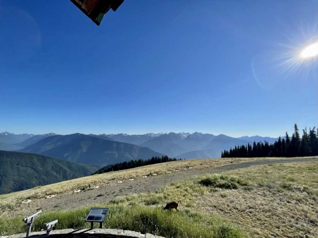 Hurricane Ridge View from visitors center terrace