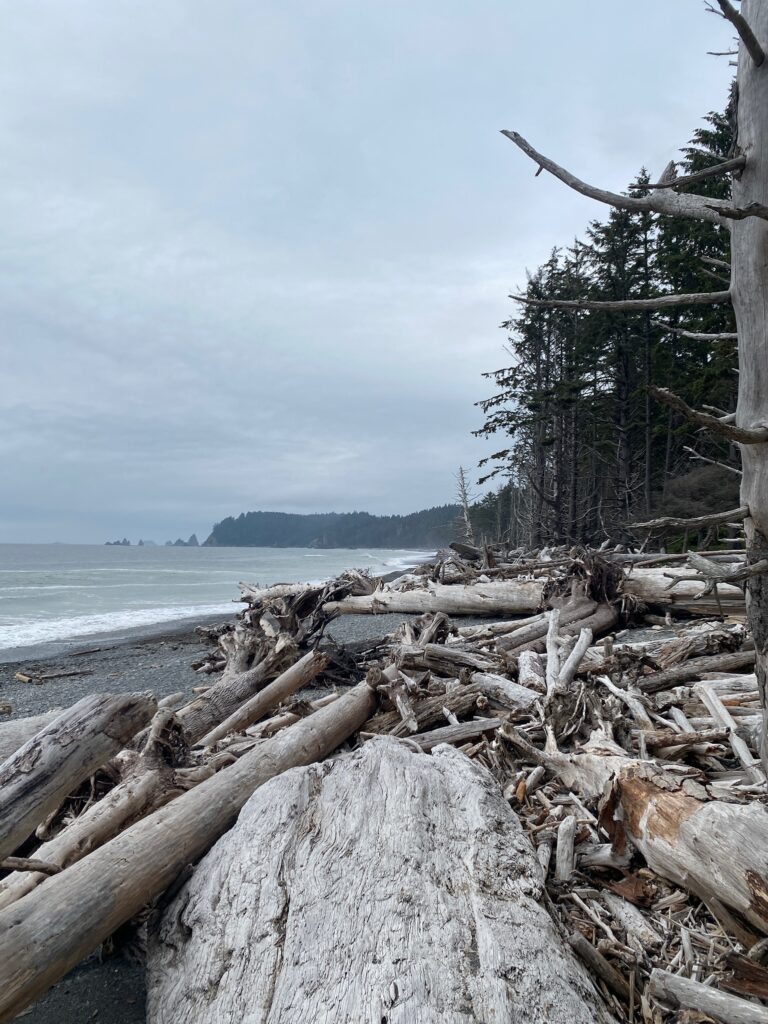 Driftwood piles along Rialto Beach