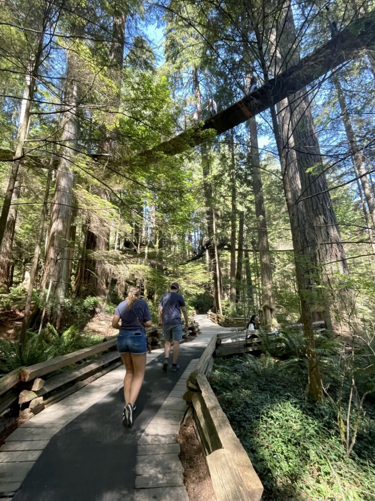 Approaching Treetop Adventure