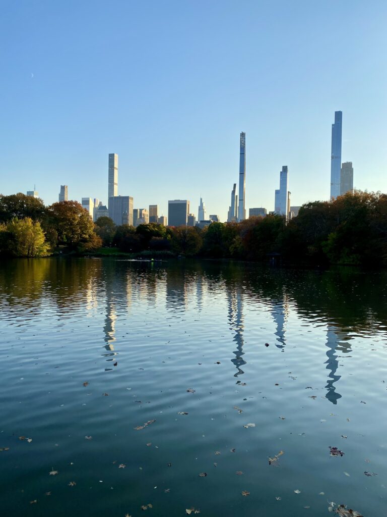The Lake at Central Park