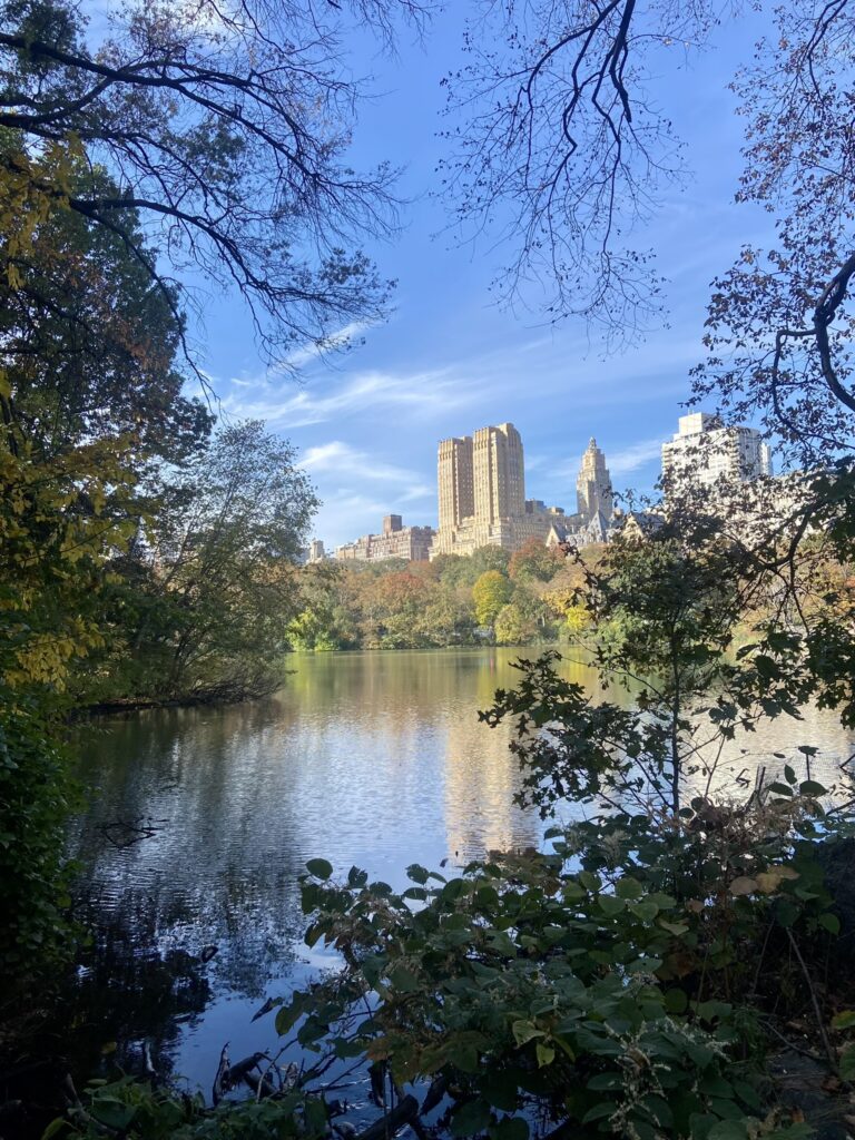 The Lake from the Ramble