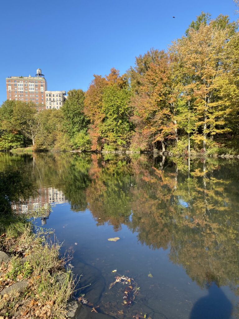 The Pool during Fall