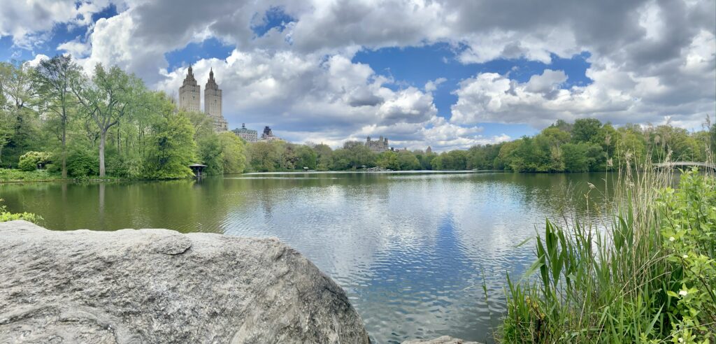 The Lake in Central Park