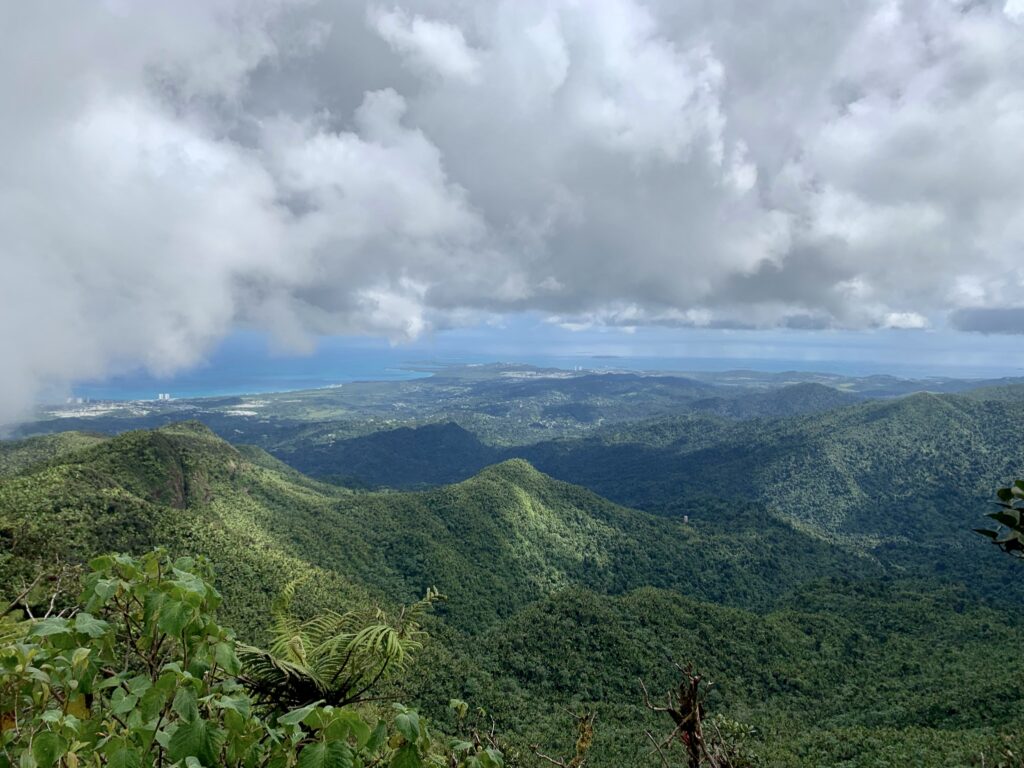 Views of El Yunque