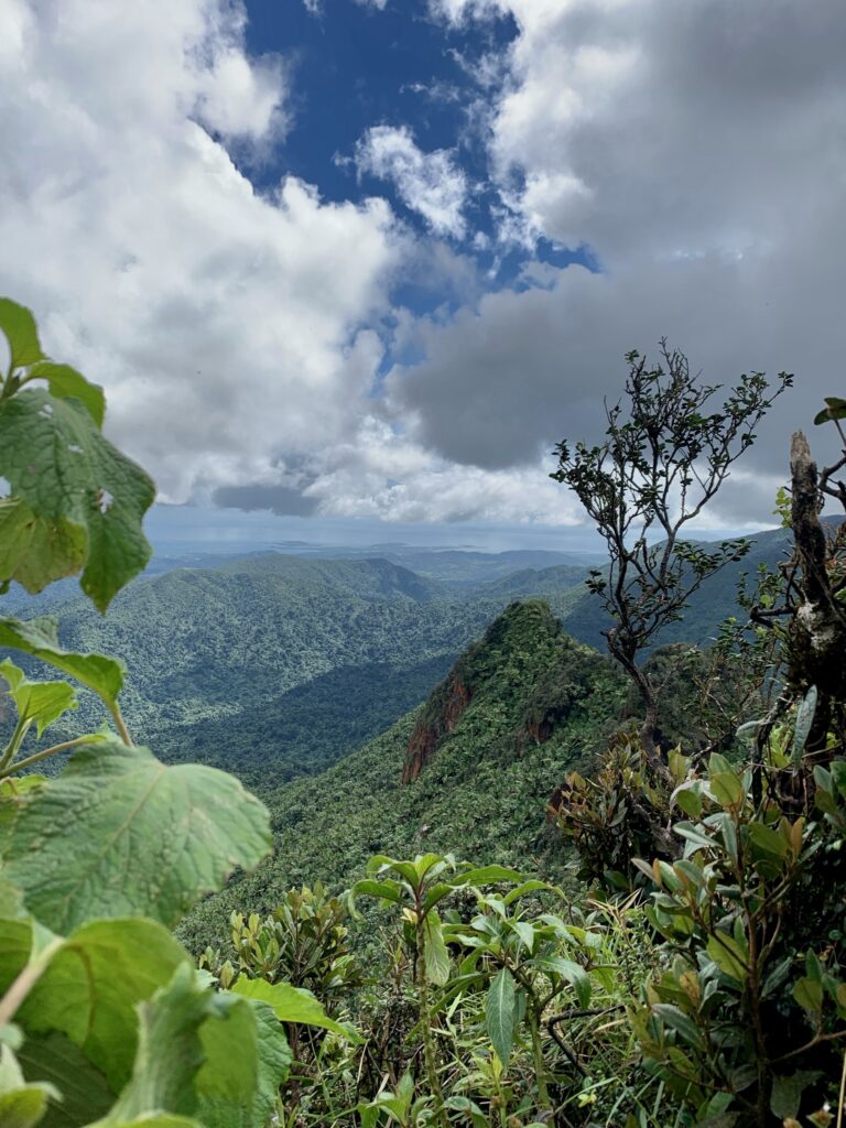 Hiking in El Yunque