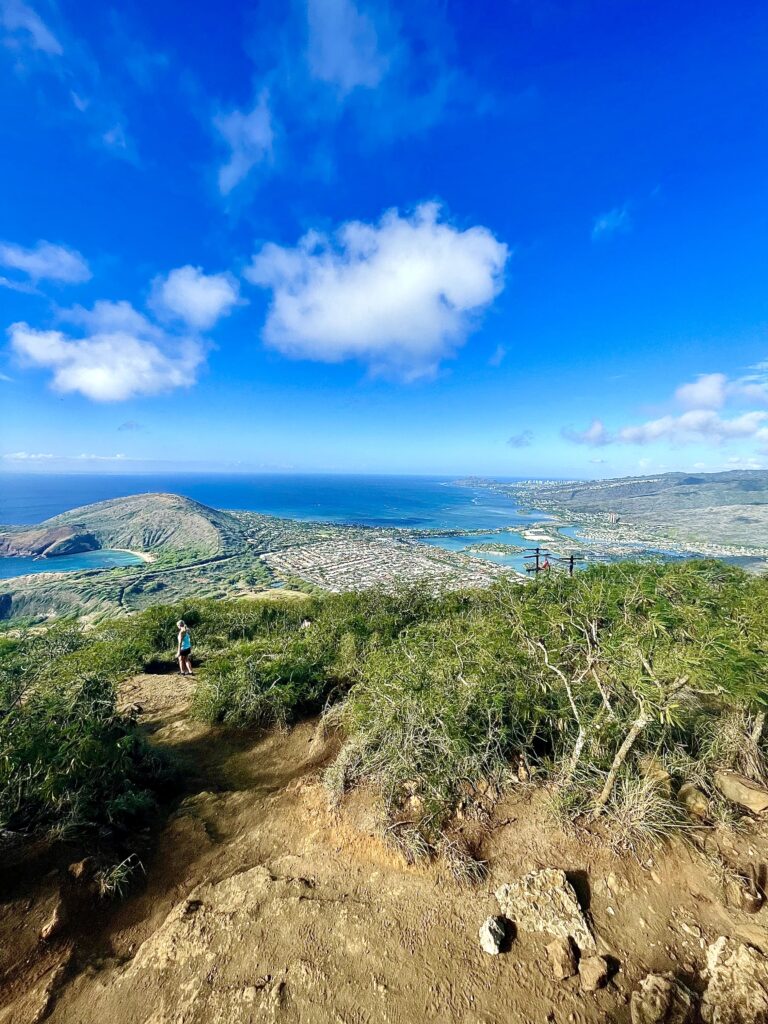 View from summit of Kokohead trail