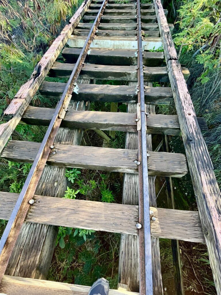 Bridge along the Kokohead trail