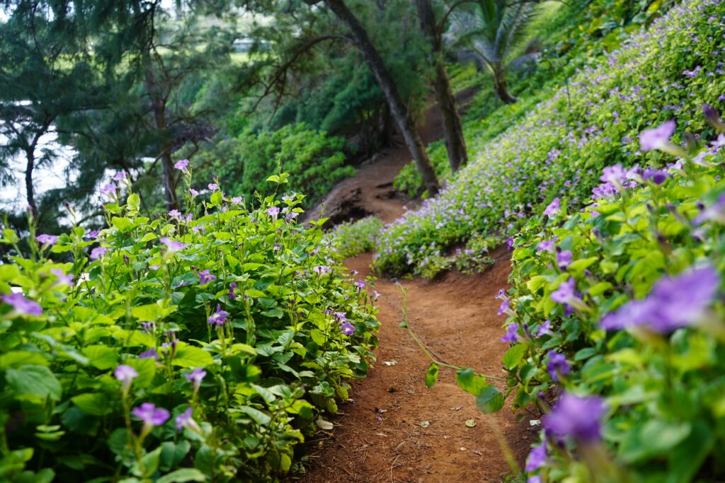 Trail to red sand beach