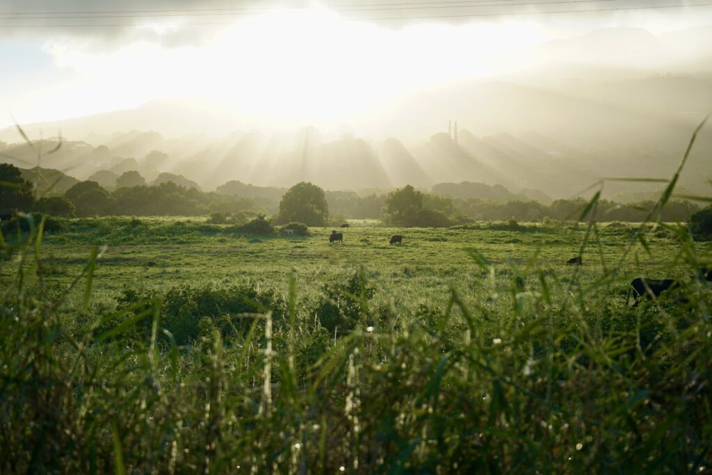 Sunset over Hana Ranch on the Hana Highway