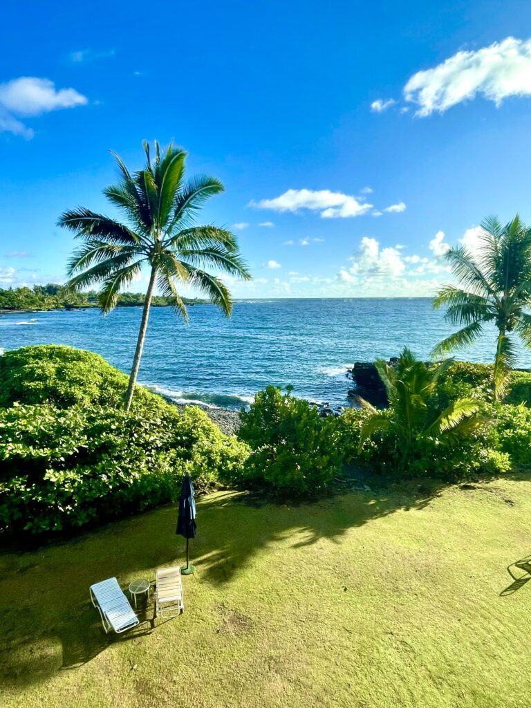 View through a screen from our bedroom window in Hana Kai Maui