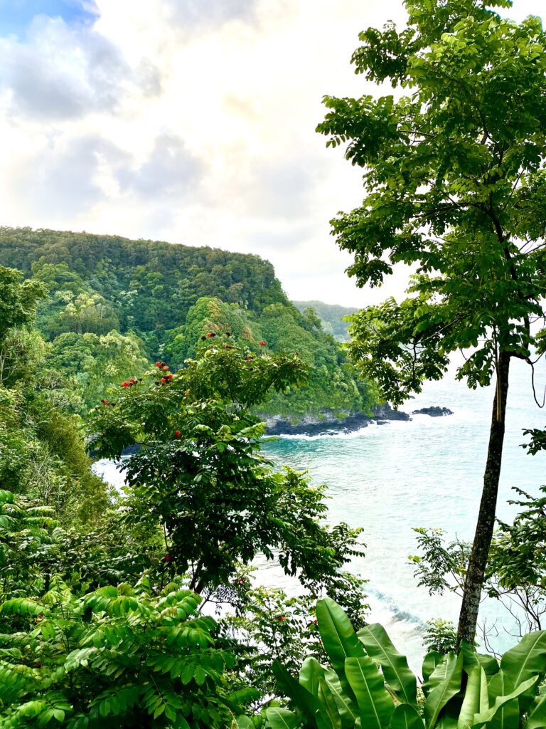 Lookout along the road to Hana