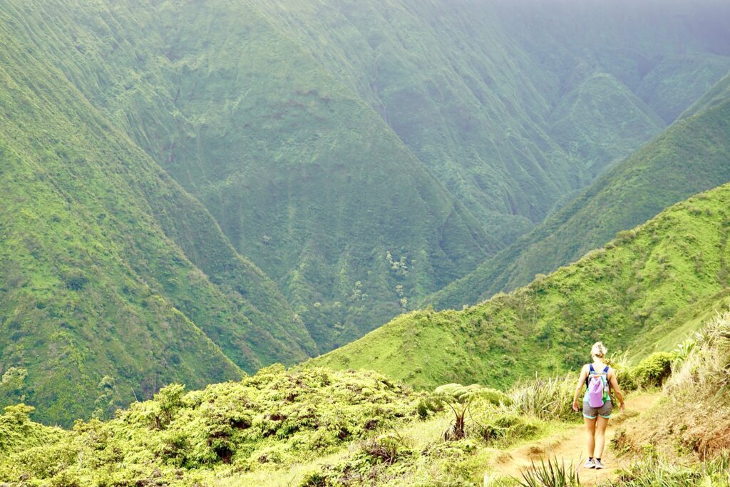 Waihe'e Ridge Trail