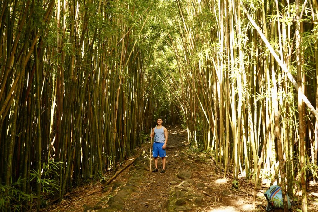 Ryan in the bamboo forest