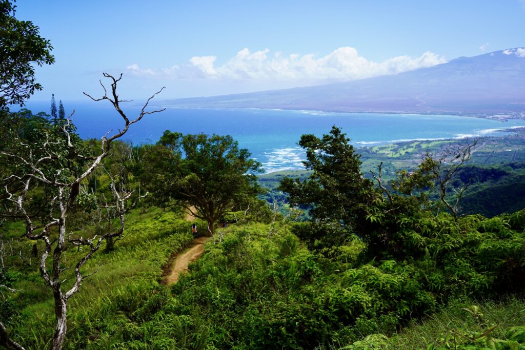 Waihe'e Ridge Trail