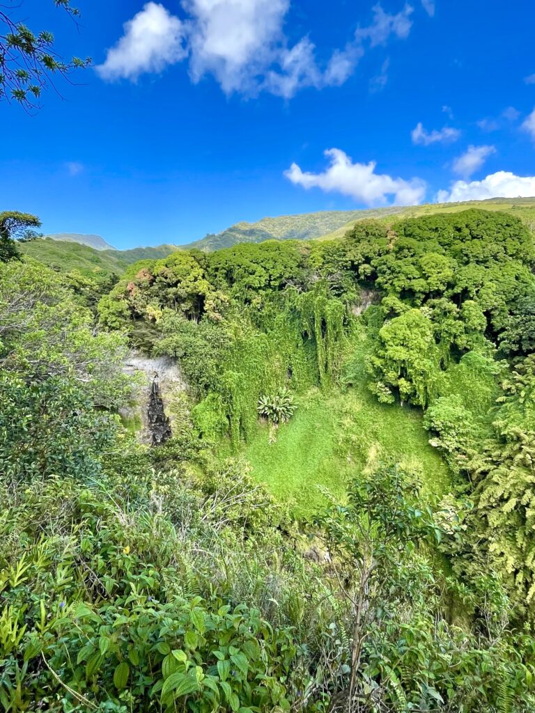 Scenic overlook on Pipiwai Trail with Makahiku Waterfall in the distance