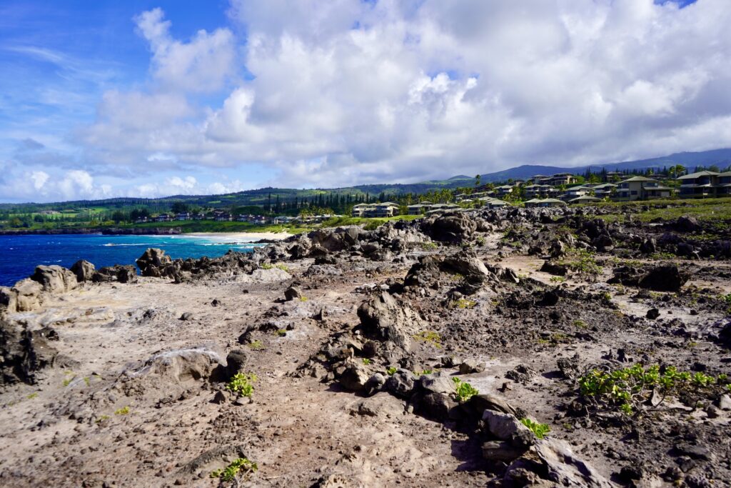 Trail through Lava Rock Point