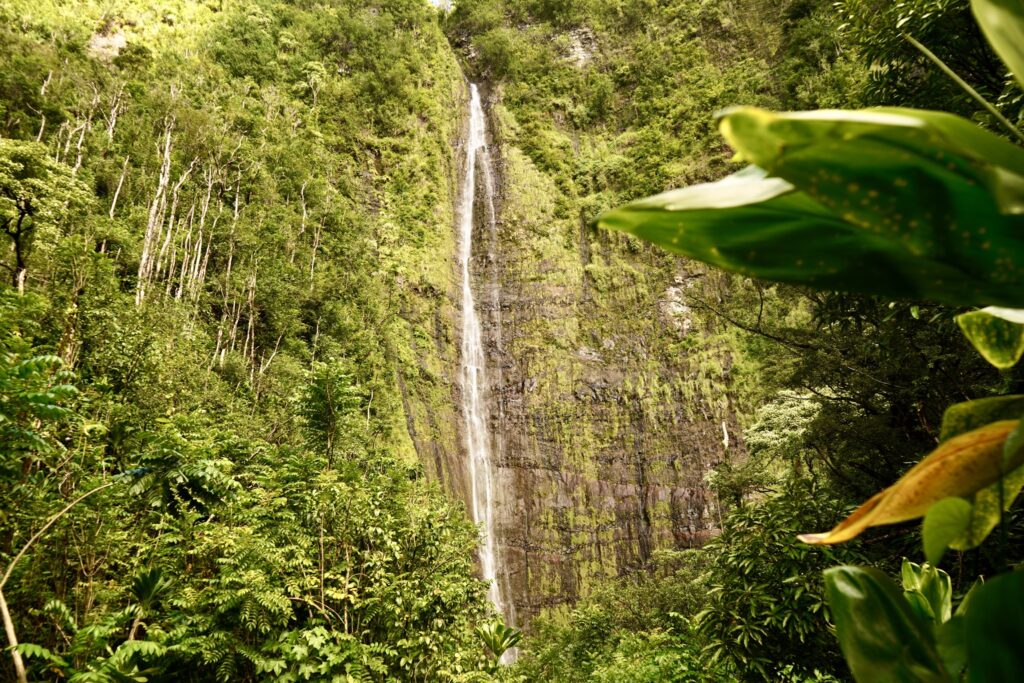 Waimoku Falls at the end of Pipiwai Trail