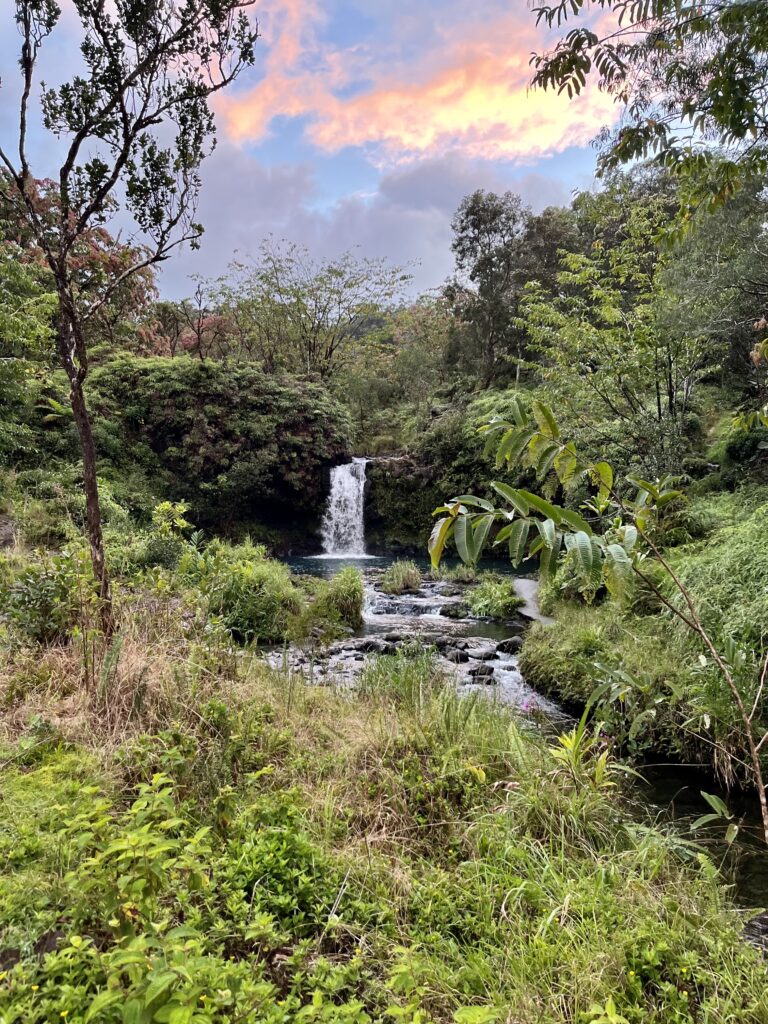 Pu'u Ka'a State Wayside Park