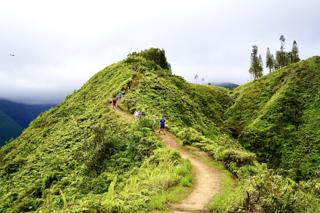 Waihe'e Ridge Trail