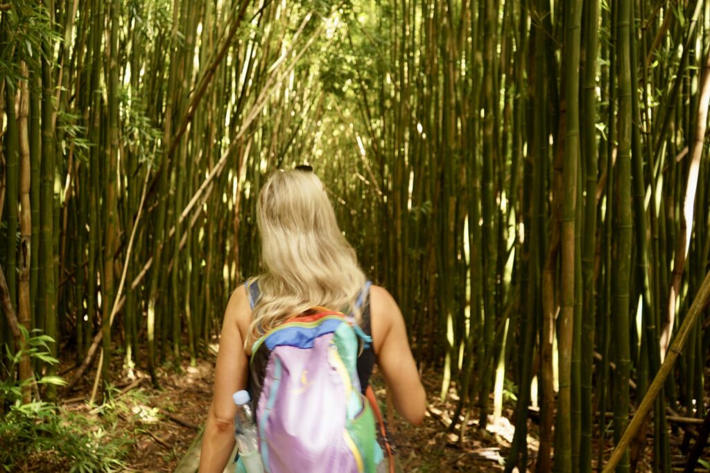 Nikki in the bamboo forest