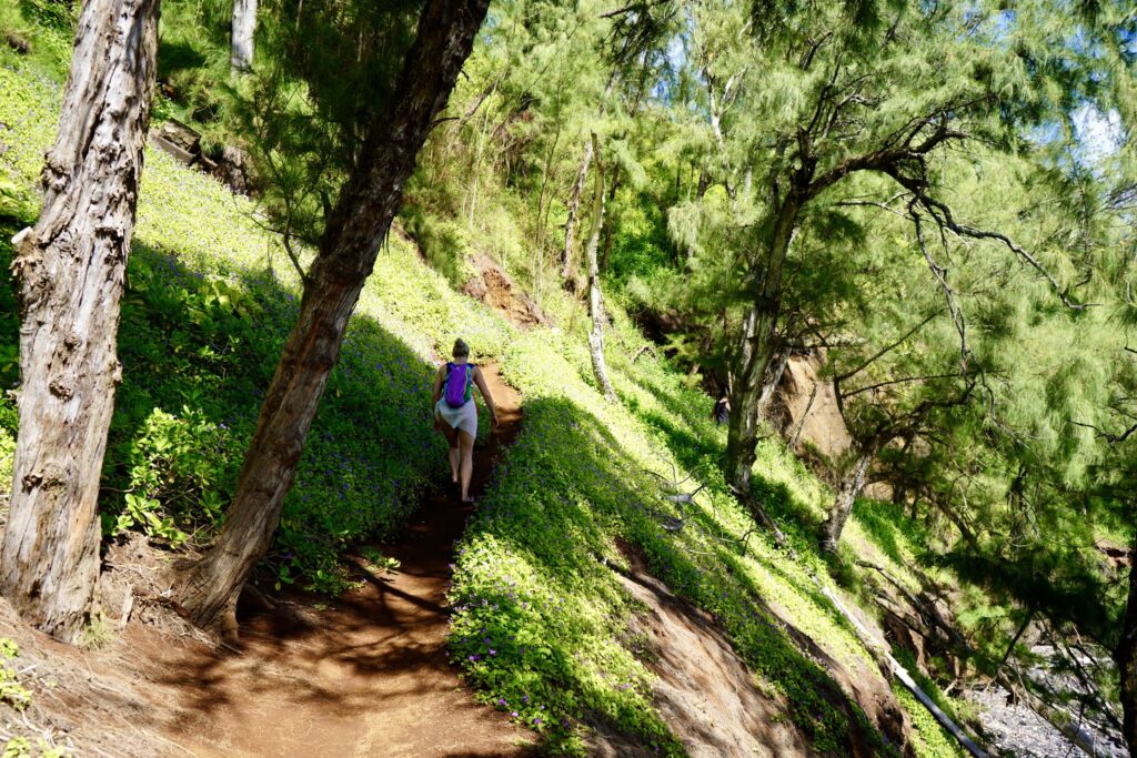 Trail to red sand beach