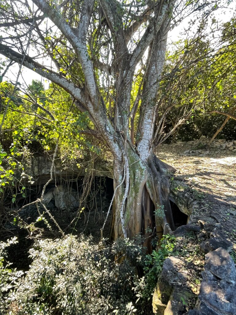 Banana Hole at Clifton Heritage National Park