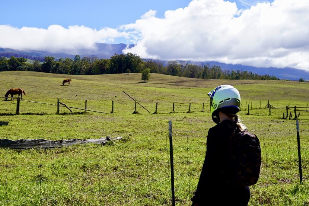Nikki looking out over ranch land in Olinda on ride down Haleakala