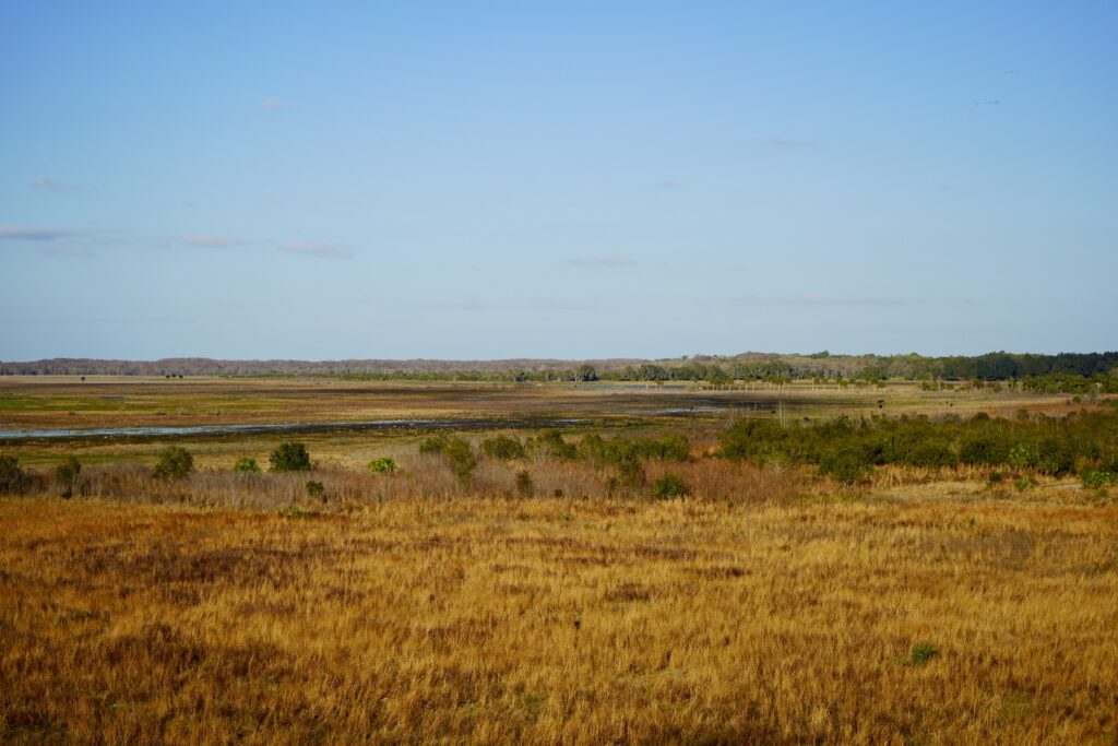 Savanah land at Paynes Prairie