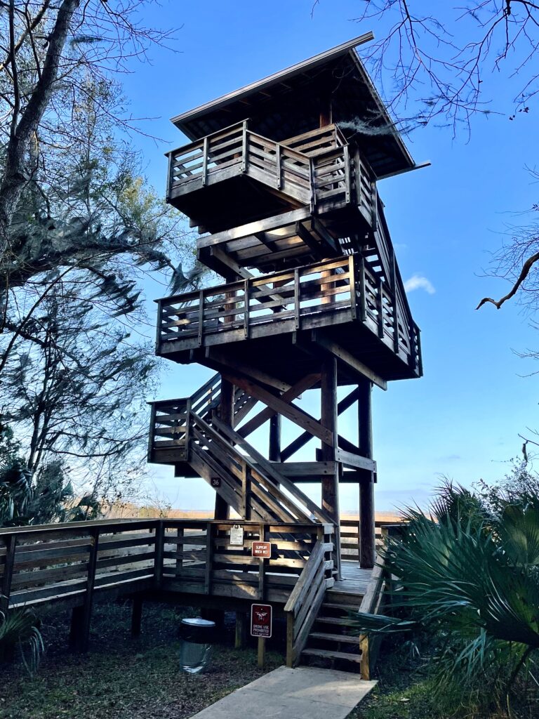 Observation tower at Paynes Prairie