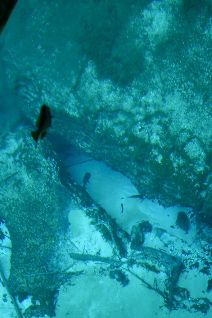 Underwater cave where a spring enters the river