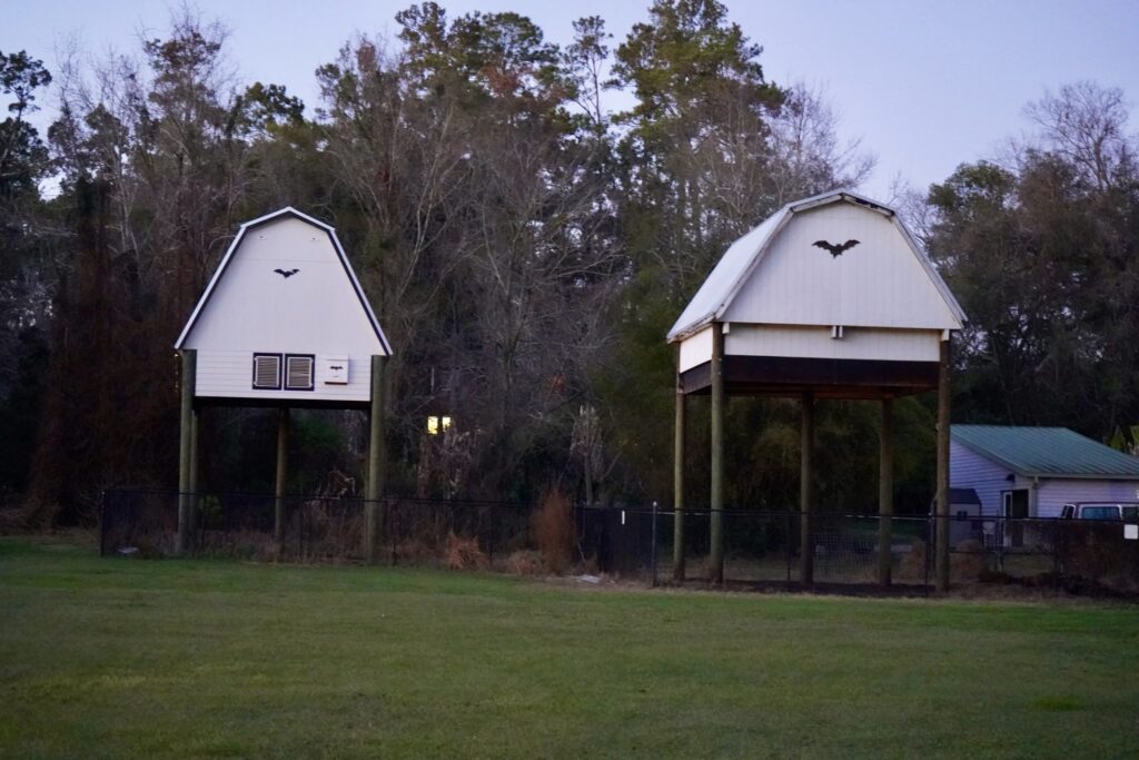 University of Florida Bat Houses