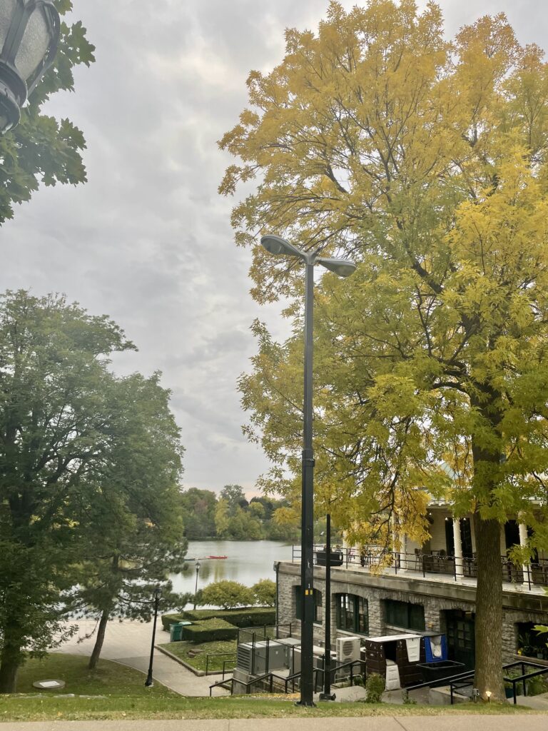 Looking out over Hoyt Lake from near the Terrace at Delaware Park