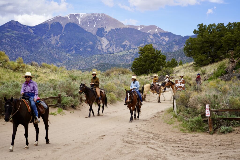Best things to do in Great Sand Dunes National Park: Horses on the Medano Primitive Pass Trail