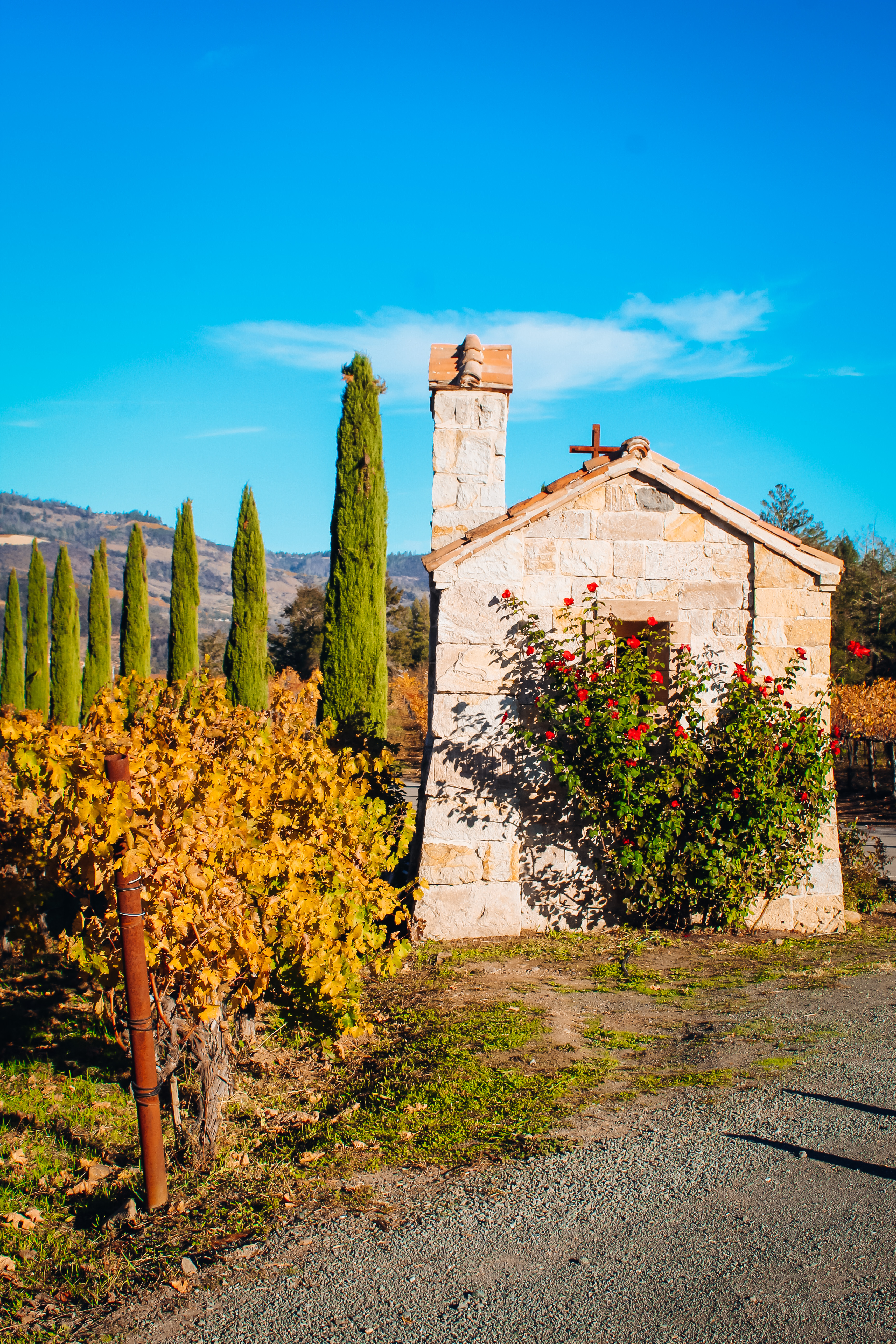 Castello Di Amorosa Winery​