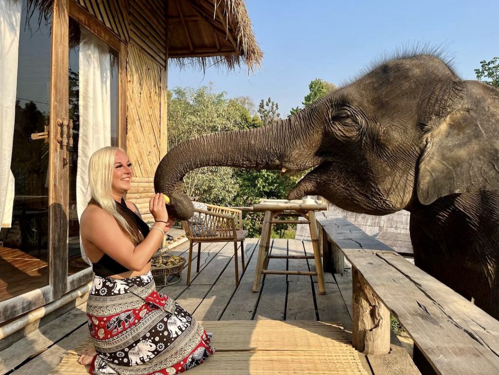 A Perfect Day in Chai Lai Orchid Thailand s Elephant Hotel