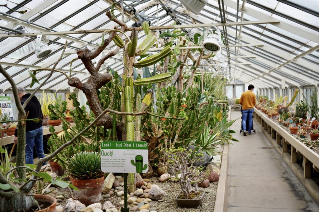 Best Indoor Buffalo Activities, Botanical Garden