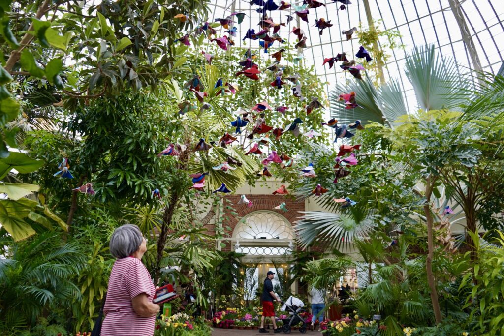 Best Indoor Buffalo Activities, Botanical Gardens