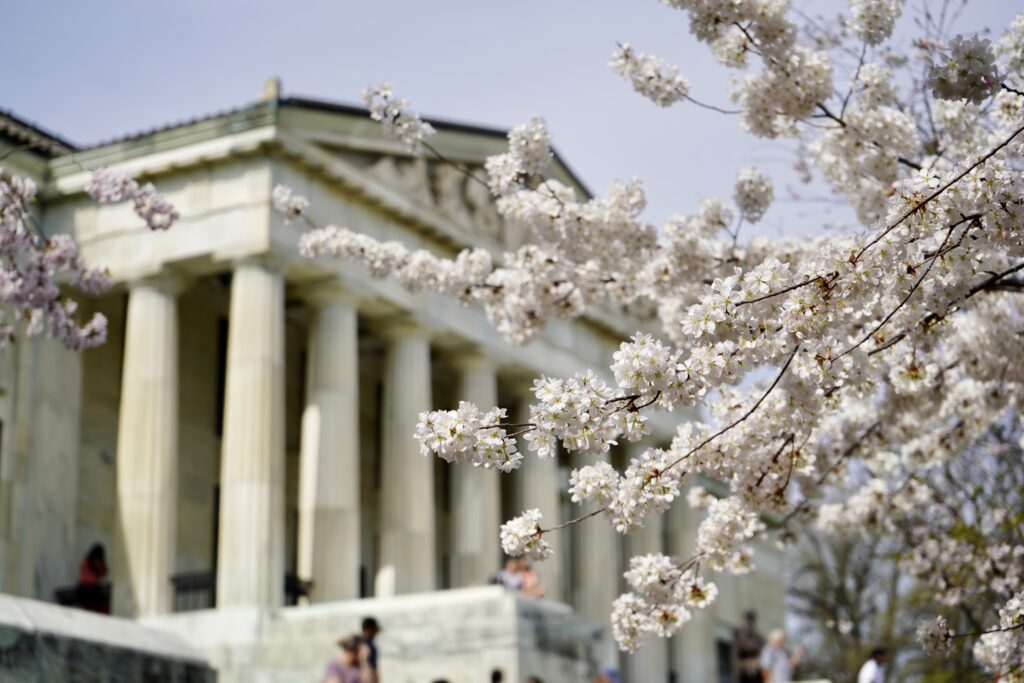 Best Indoor Buffalo Activities, History Museum