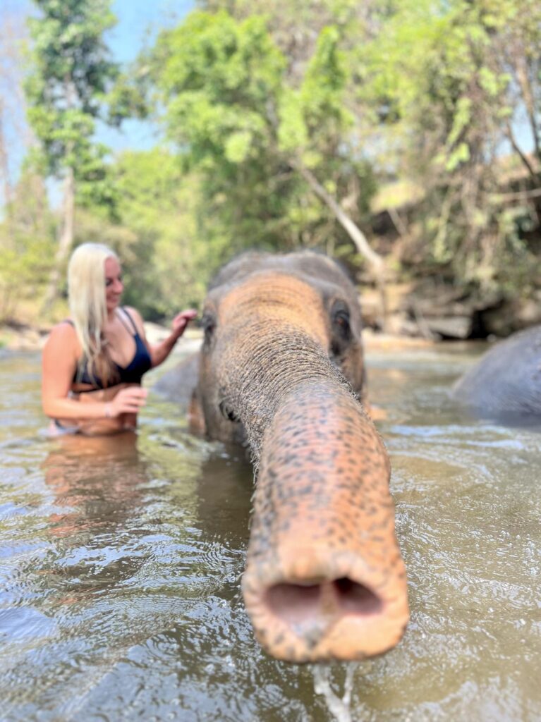 Jackie and Elephant at Chai Lai Orchid