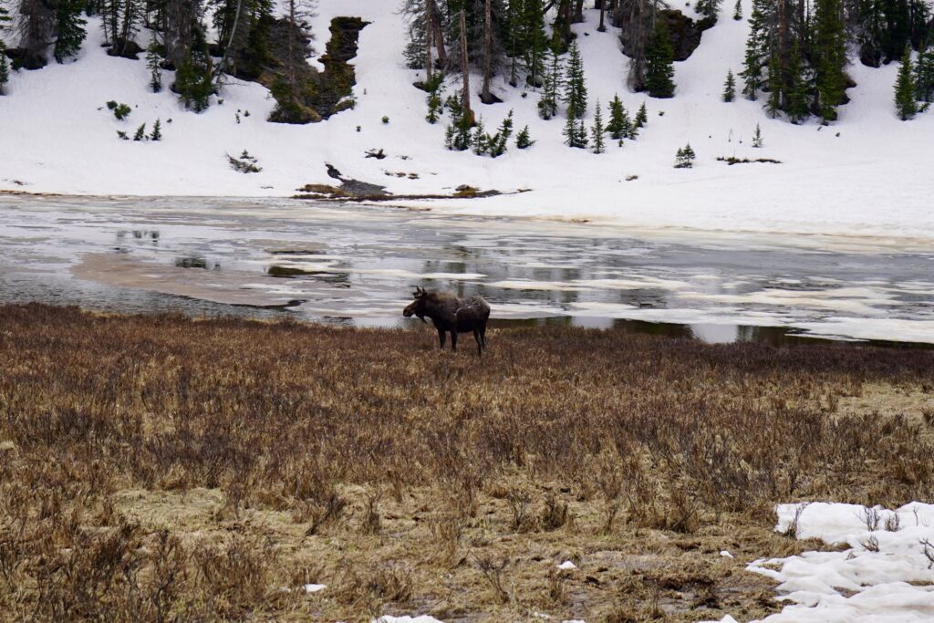 Must do Activities in Rocky Mountain National Park