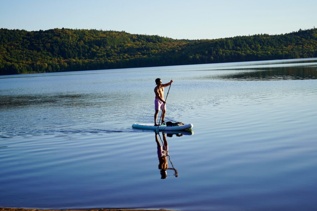 Algonquin Provincial Park Highway 60 Corridor