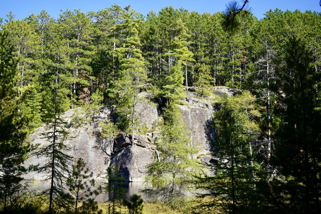 Algonquin Provincial Park Highway 60 Corridor