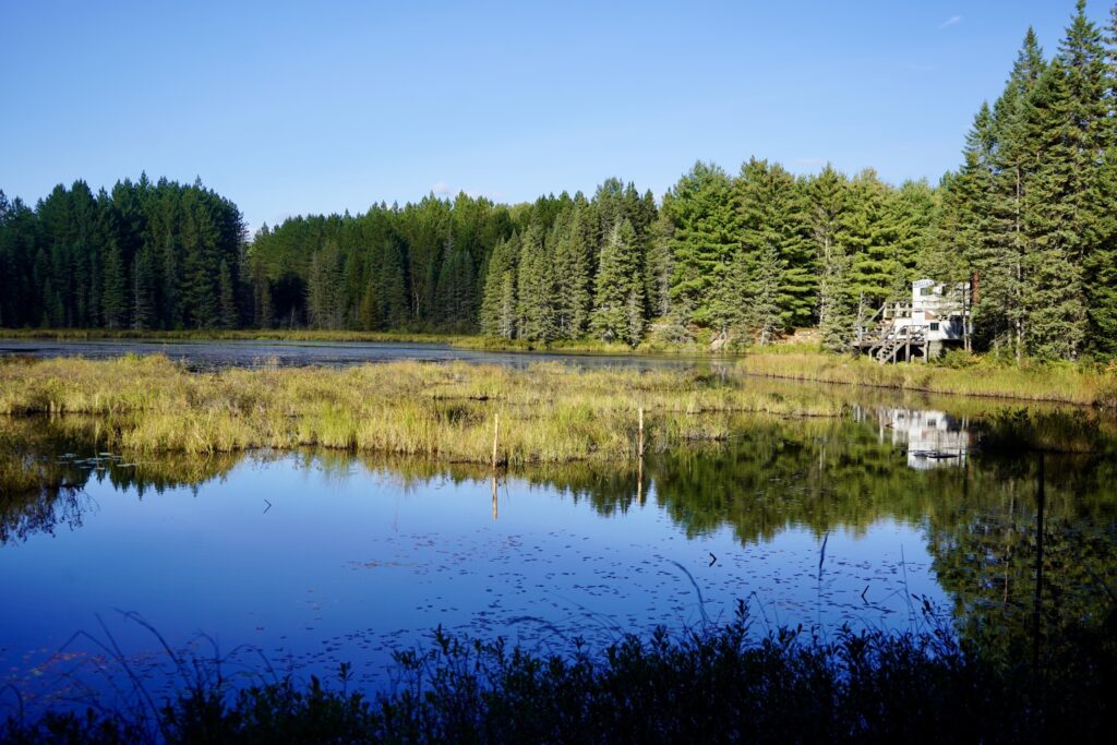 Algonquin Provincial Park Highway 60 Corridor